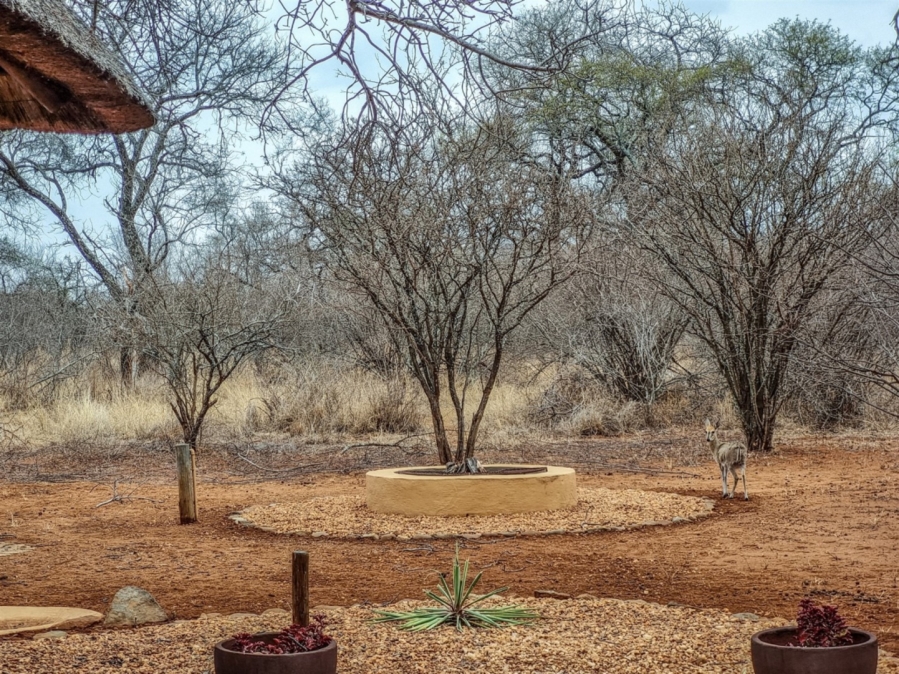 3 Bedroom Property for Sale in Khaya Ndlovu Game Reserve Limpopo