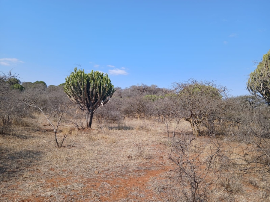 4 Bedroom Property for Sale in Kalkfontein A H Limpopo