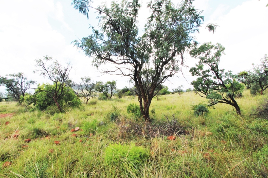 0 Bedroom Property for Sale in Modimolle Limpopo