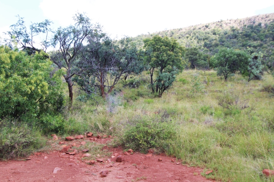 0 Bedroom Property for Sale in Modimolle Limpopo