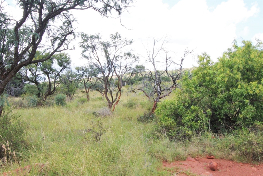 0 Bedroom Property for Sale in Modimolle Limpopo