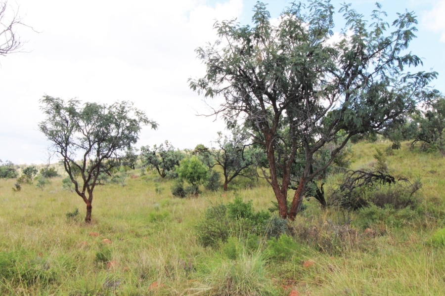 0 Bedroom Property for Sale in Modimolle Limpopo