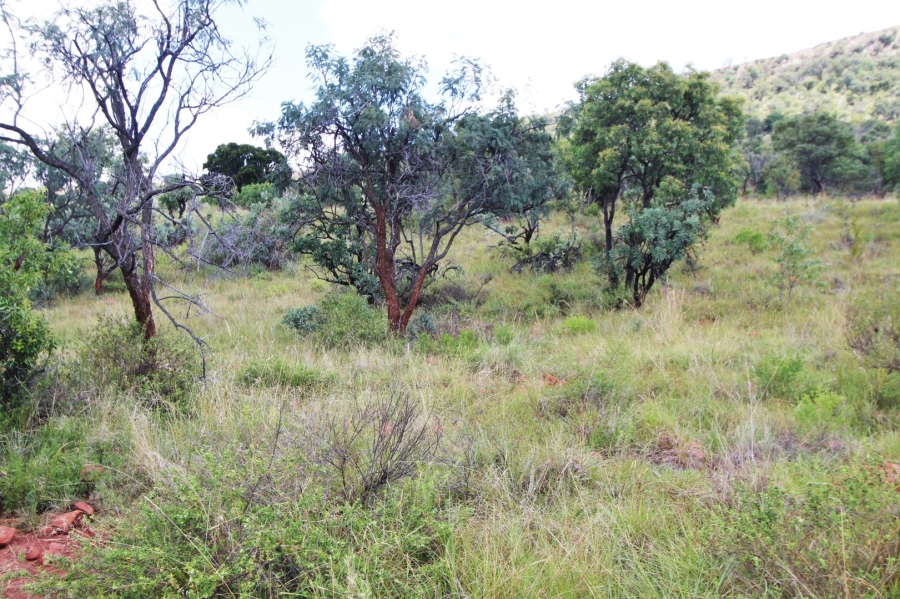 0 Bedroom Property for Sale in Modimolle Limpopo