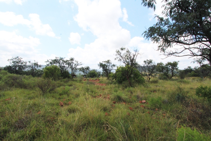0 Bedroom Property for Sale in Modimolle Limpopo