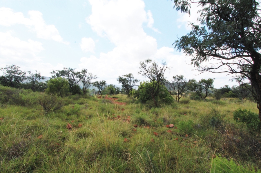 0 Bedroom Property for Sale in Modimolle Limpopo