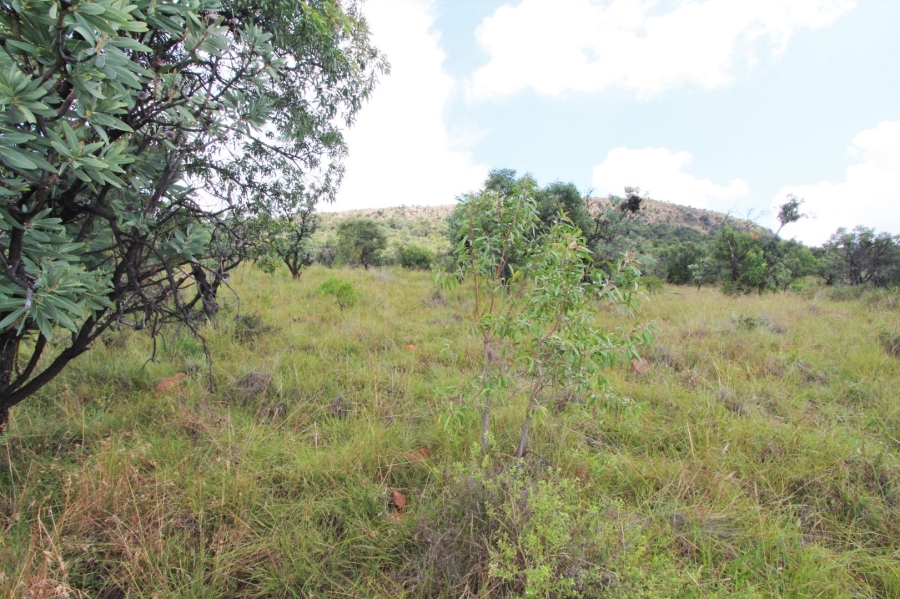 0 Bedroom Property for Sale in Modimolle Limpopo