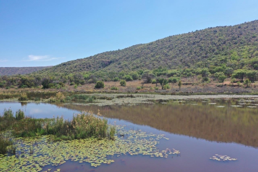 0 Bedroom Property for Sale in Modimolle Limpopo
