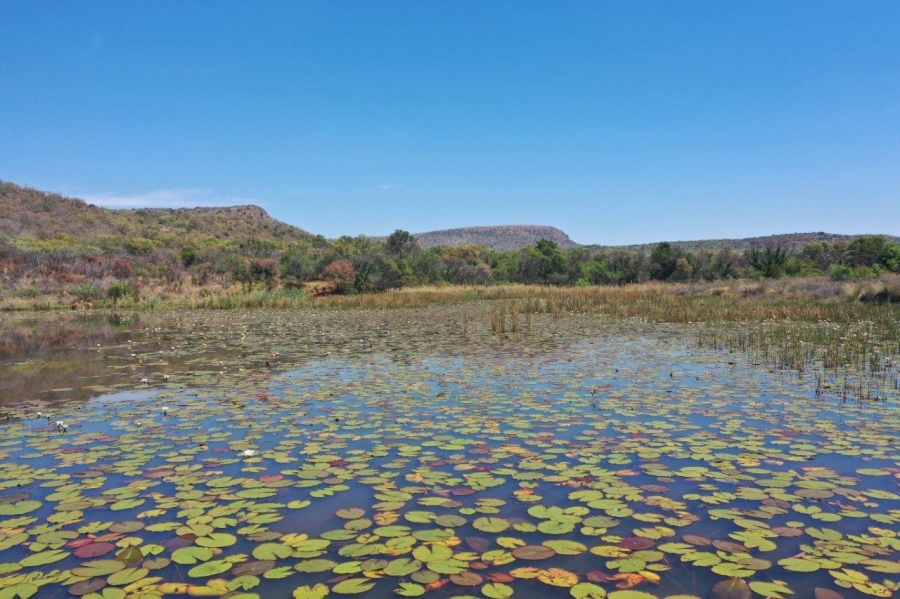0 Bedroom Property for Sale in Modimolle Limpopo