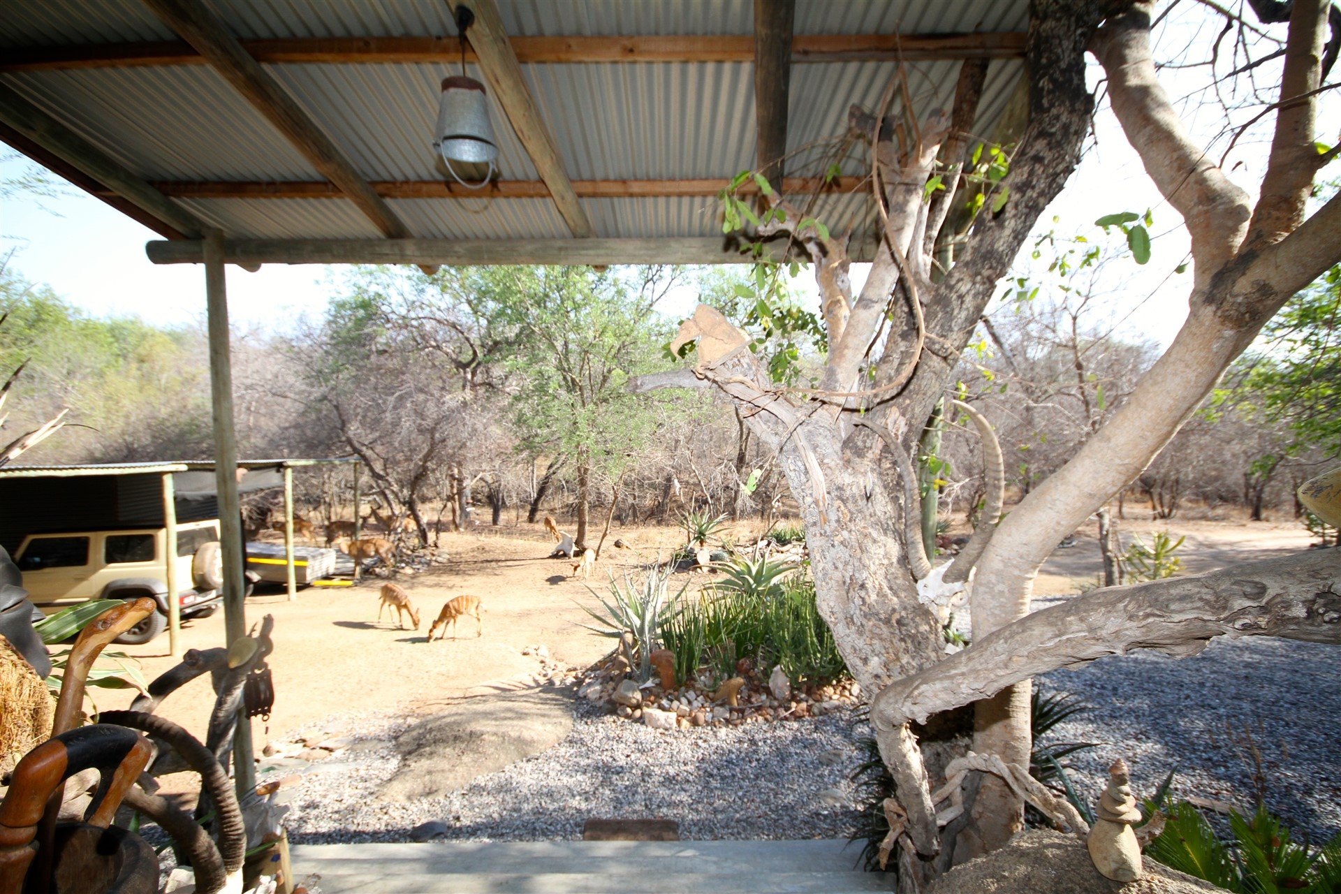 2 Bedroom Property for Sale in Leopard Rock Nature Reserve Limpopo