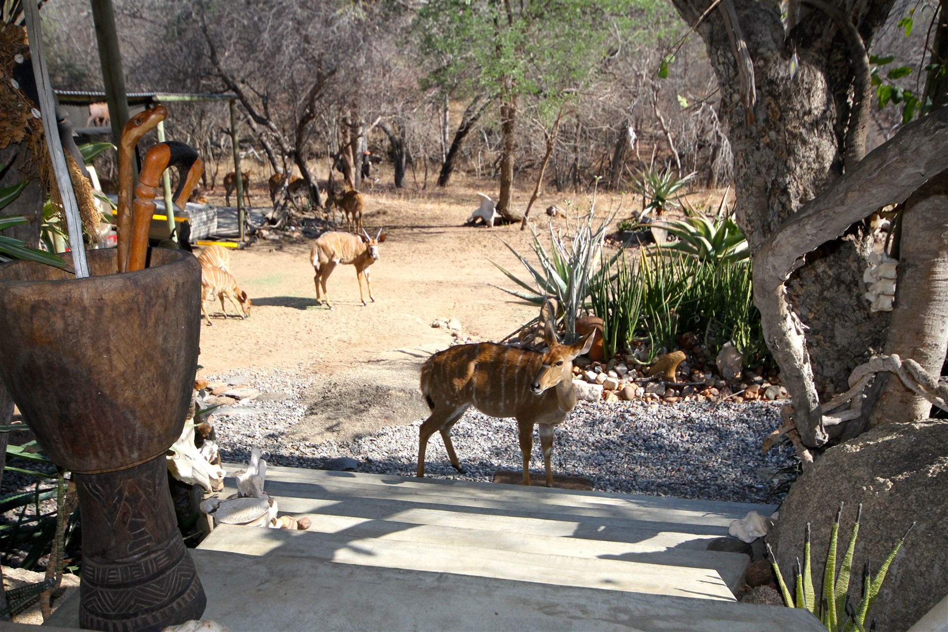 2 Bedroom Property for Sale in Leopard Rock Nature Reserve Limpopo