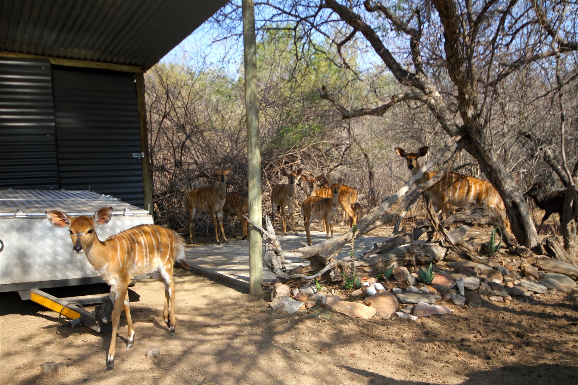 2 Bedroom Property for Sale in Leopard Rock Nature Reserve Limpopo