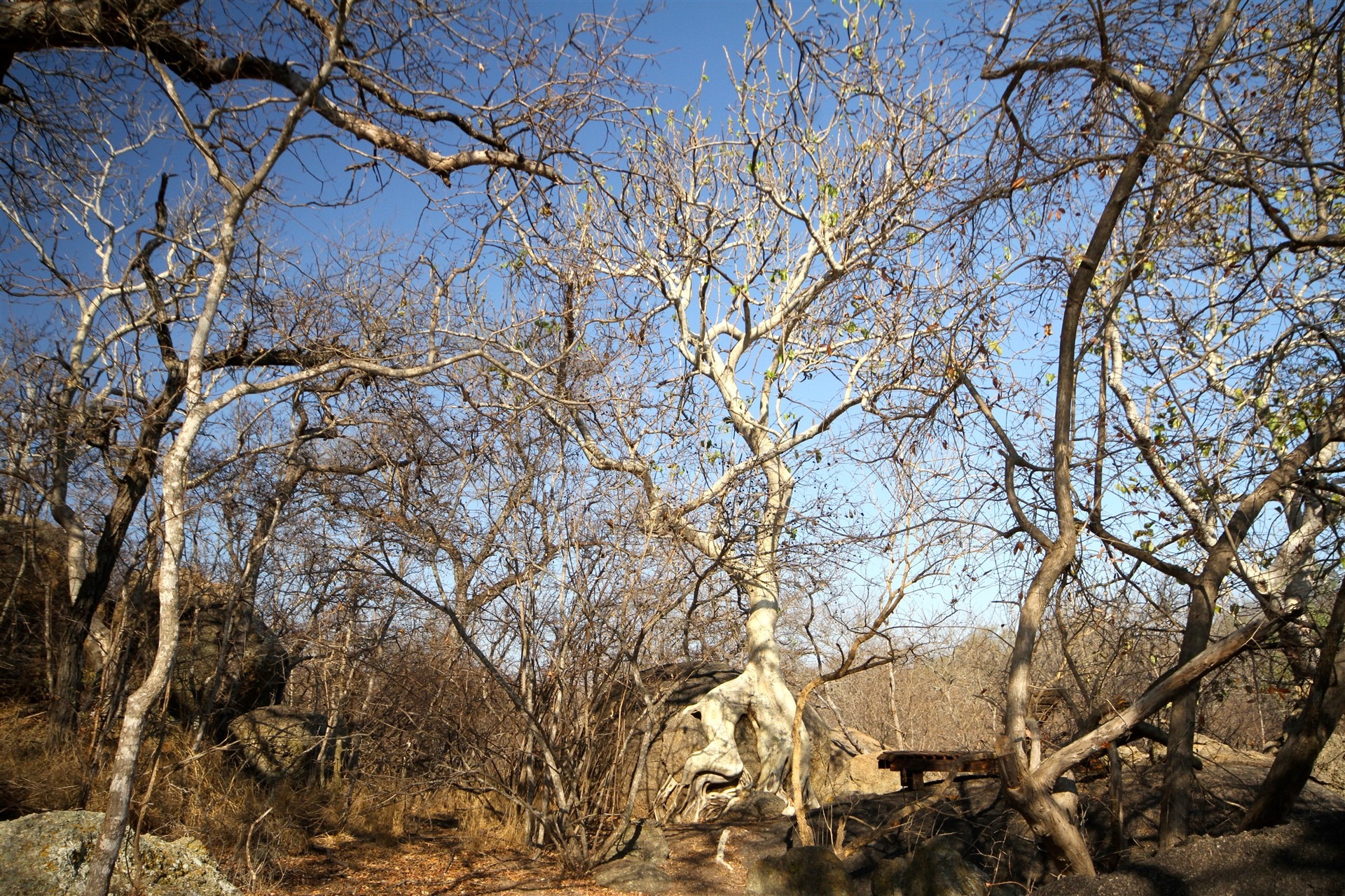 2 Bedroom Property for Sale in Leopard Rock Nature Reserve Limpopo