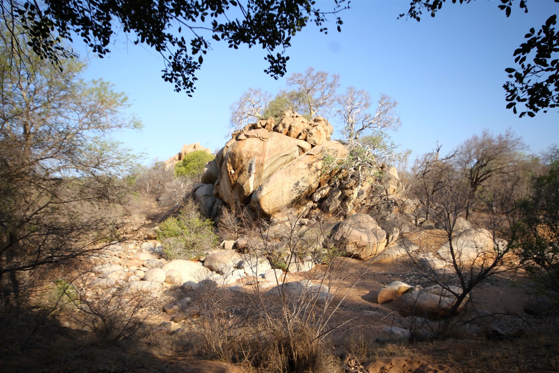 2 Bedroom Property for Sale in Leopard Rock Nature Reserve Limpopo