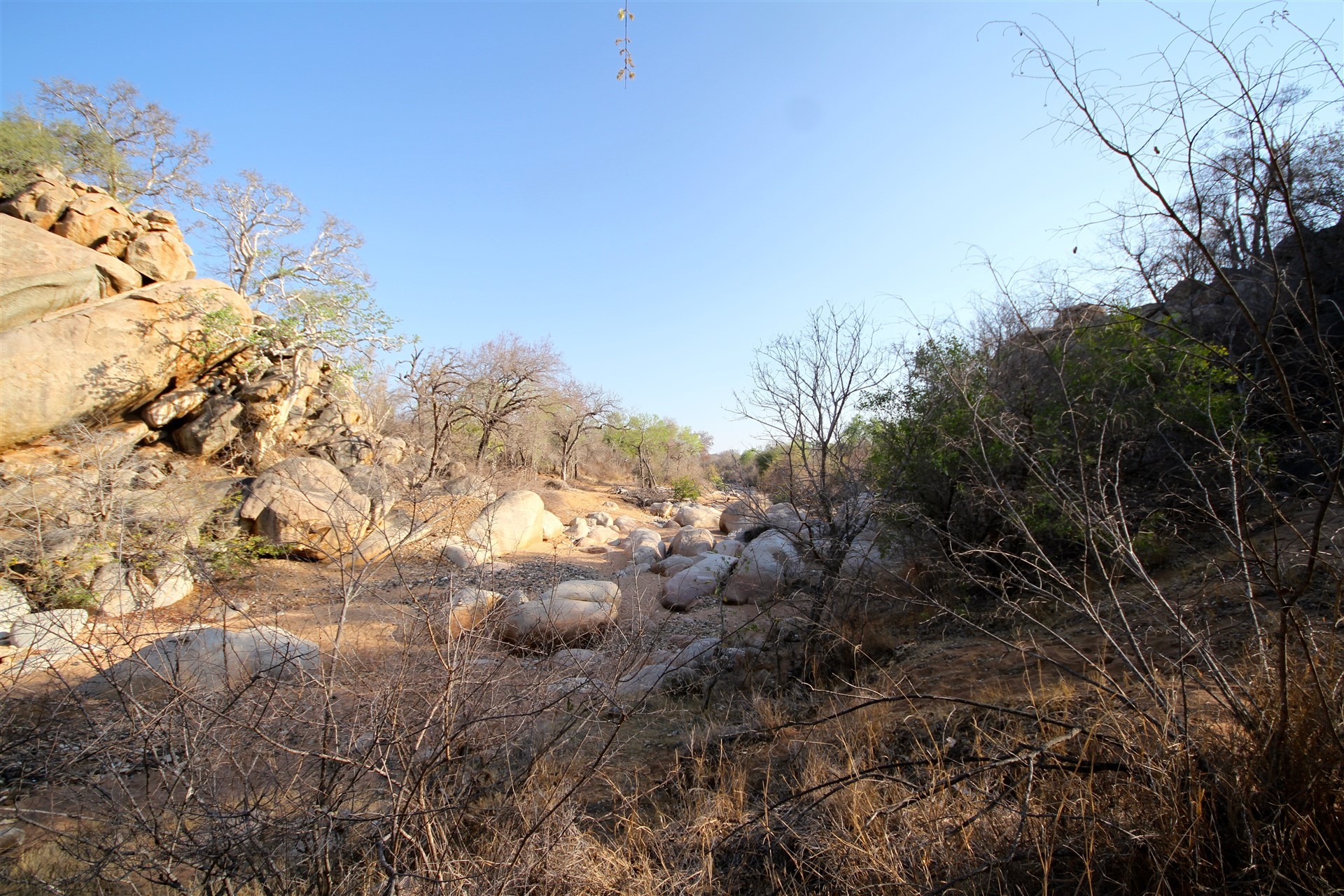 2 Bedroom Property for Sale in Leopard Rock Nature Reserve Limpopo