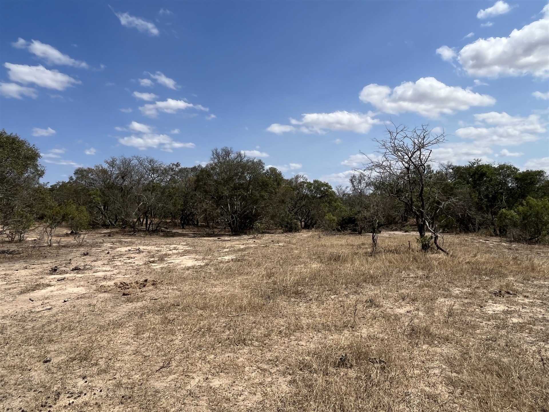 0 Bedroom Property for Sale in Moditlo Wildlife Estate Limpopo