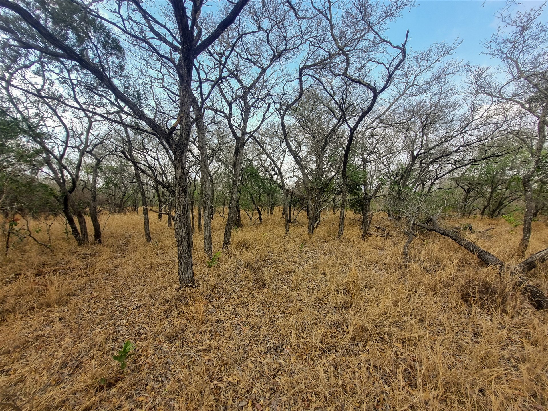 0 Bedroom Property for Sale in Moditlo Wildlife Estate Limpopo