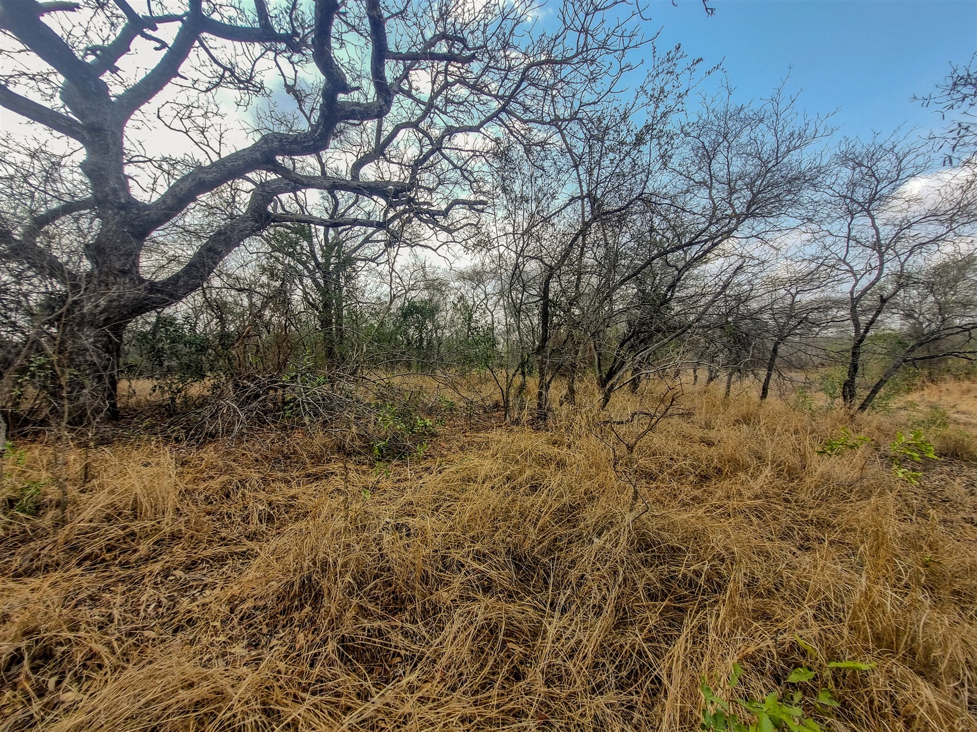 0 Bedroom Property for Sale in Moditlo Wildlife Estate Limpopo