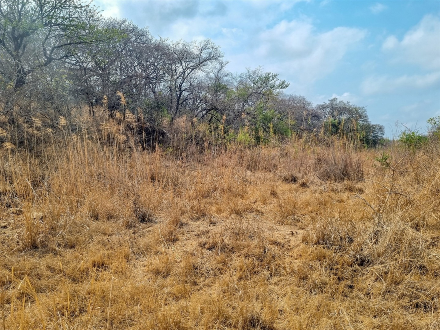 0 Bedroom Property for Sale in Moditlo Wildlife Estate Limpopo