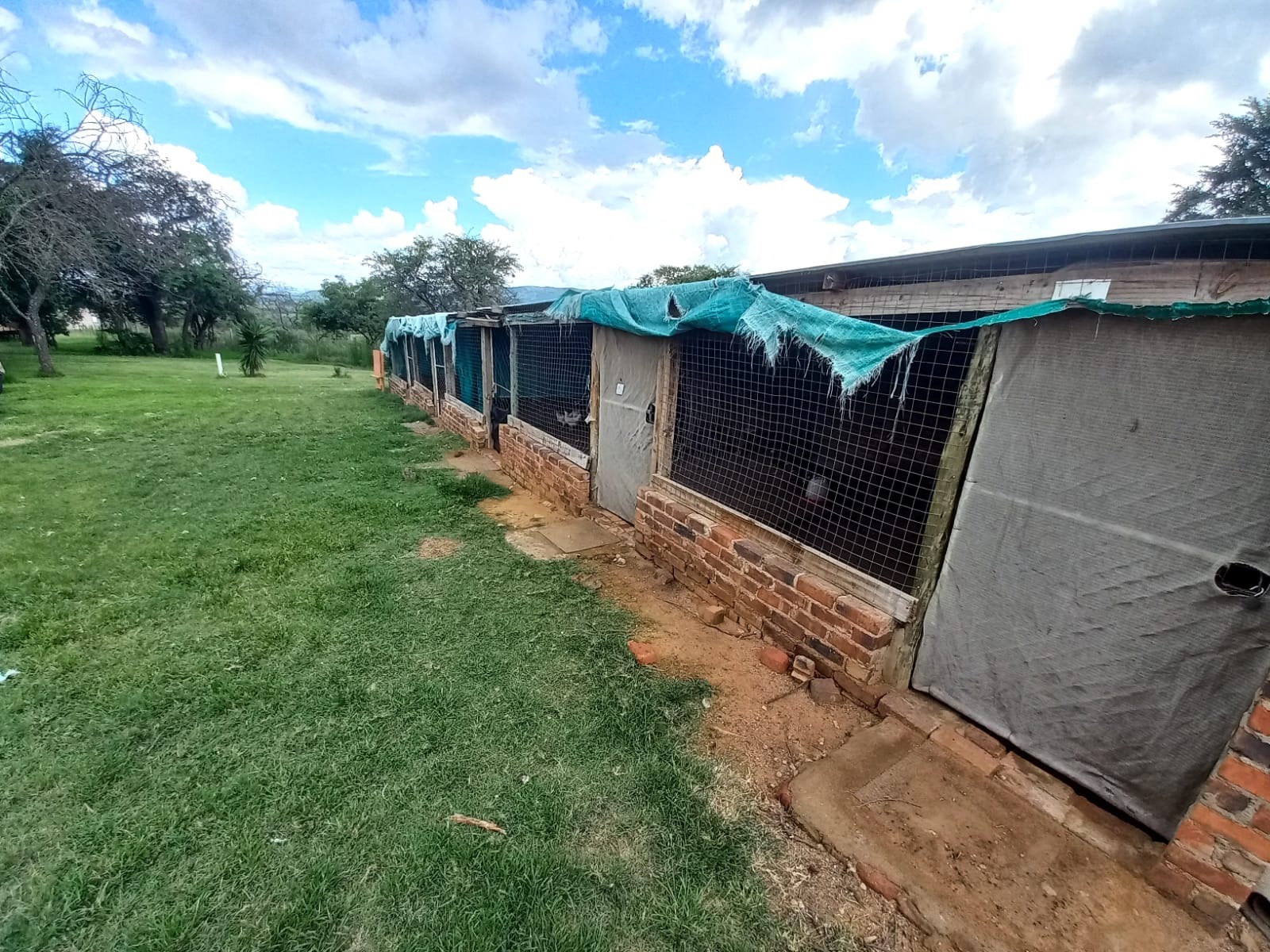 4 Bedroom Property for Sale in Polokwane Rural Limpopo