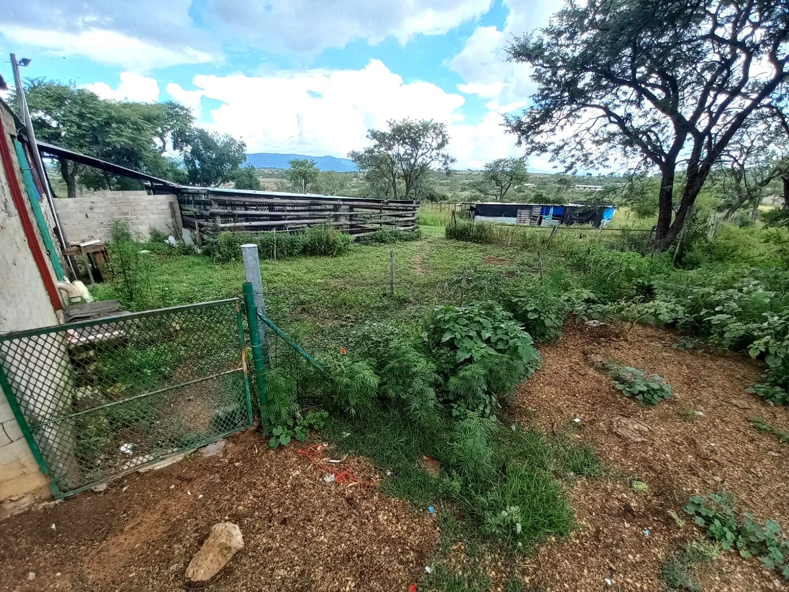 4 Bedroom Property for Sale in Polokwane Rural Limpopo