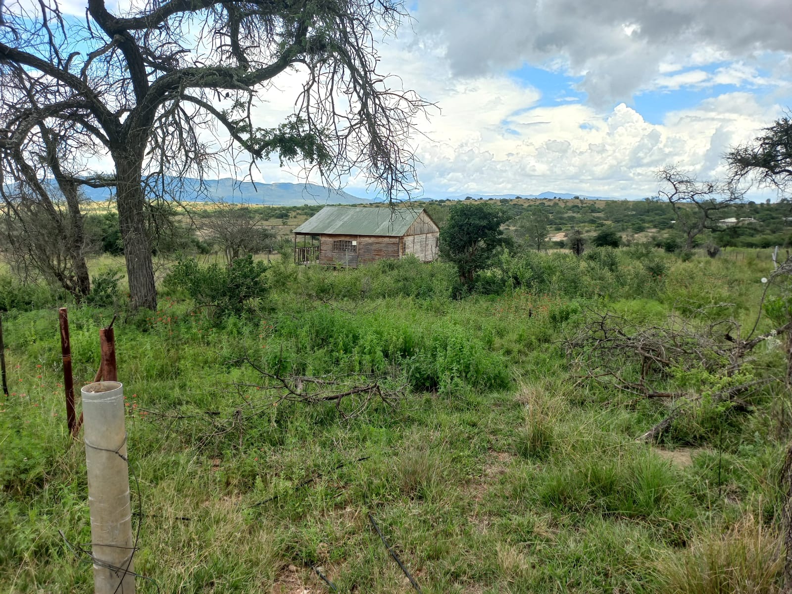 4 Bedroom Property for Sale in Polokwane Rural Limpopo