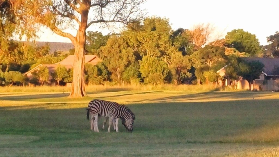 0 Bedroom Property for Sale in Koro Creek Golf Estate Limpopo