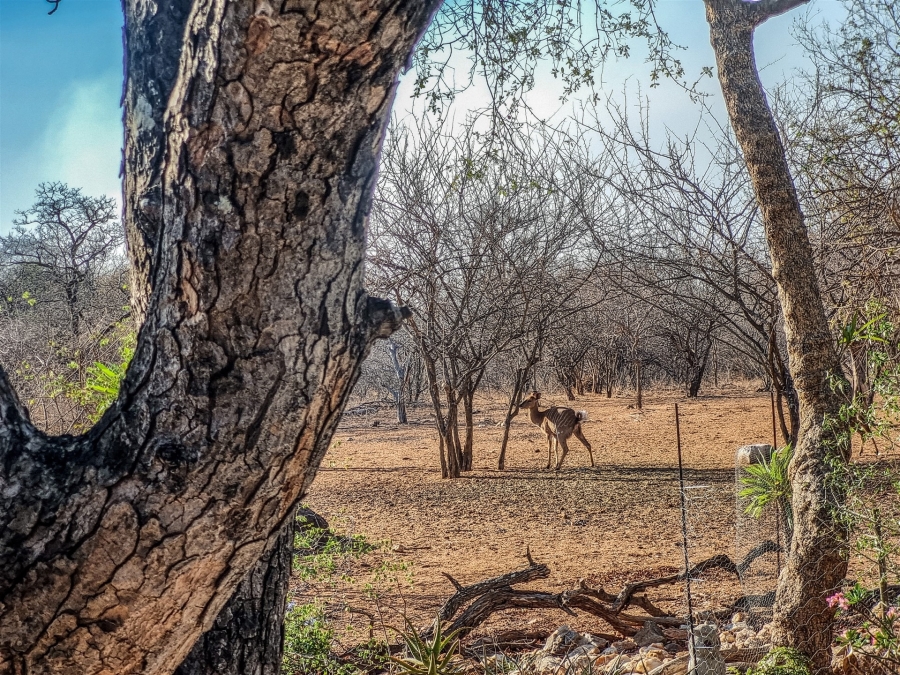 3 Bedroom Property for Sale in Leopard Rock Nature Reserve Limpopo