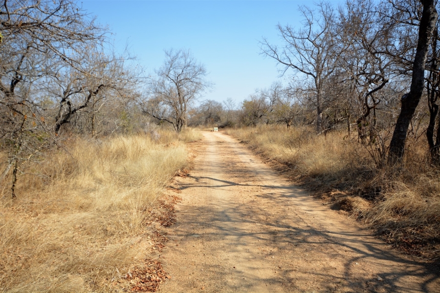 0 Bedroom Property for Sale in Moditlo Wildlife Estate Limpopo