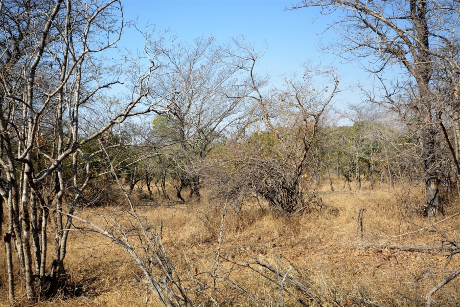 0 Bedroom Property for Sale in Moditlo Wildlife Estate Limpopo