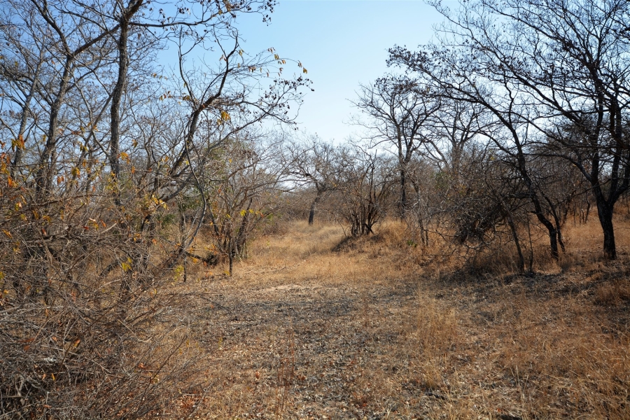 0 Bedroom Property for Sale in Moditlo Wildlife Estate Limpopo