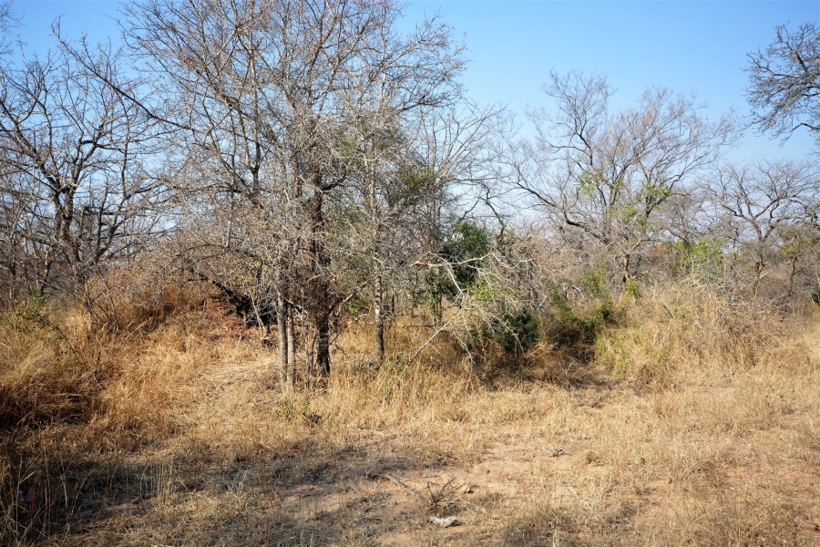 0 Bedroom Property for Sale in Moditlo Wildlife Estate Limpopo