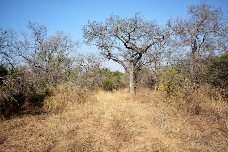 0 Bedroom Property for Sale in Moditlo Wildlife Estate Limpopo