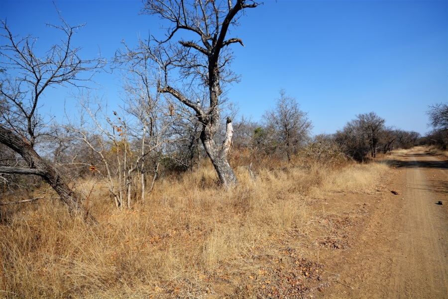 0 Bedroom Property for Sale in Moditlo Wildlife Estate Limpopo