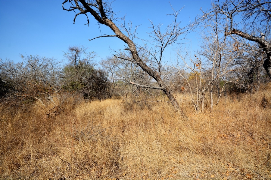 0 Bedroom Property for Sale in Moditlo Wildlife Estate Limpopo