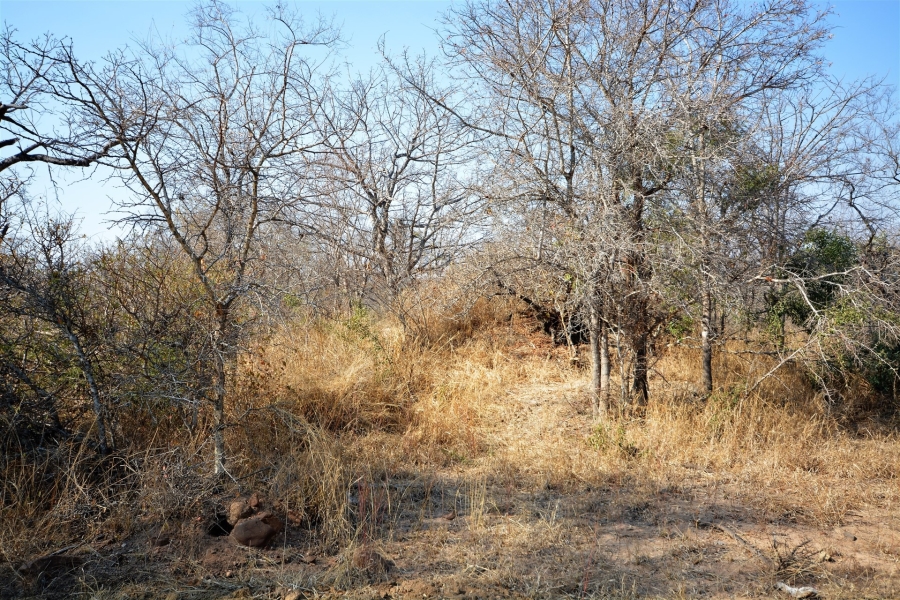 0 Bedroom Property for Sale in Moditlo Wildlife Estate Limpopo