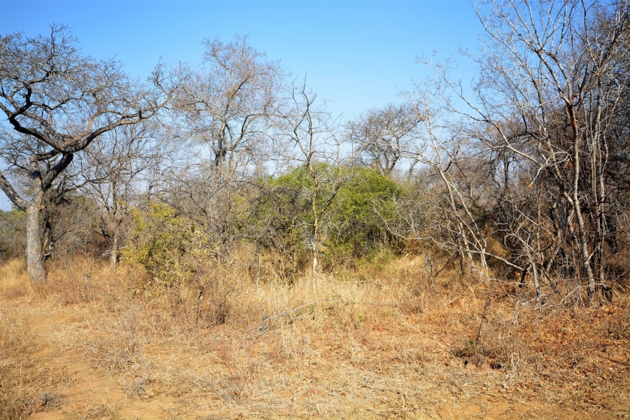 0 Bedroom Property for Sale in Moditlo Wildlife Estate Limpopo