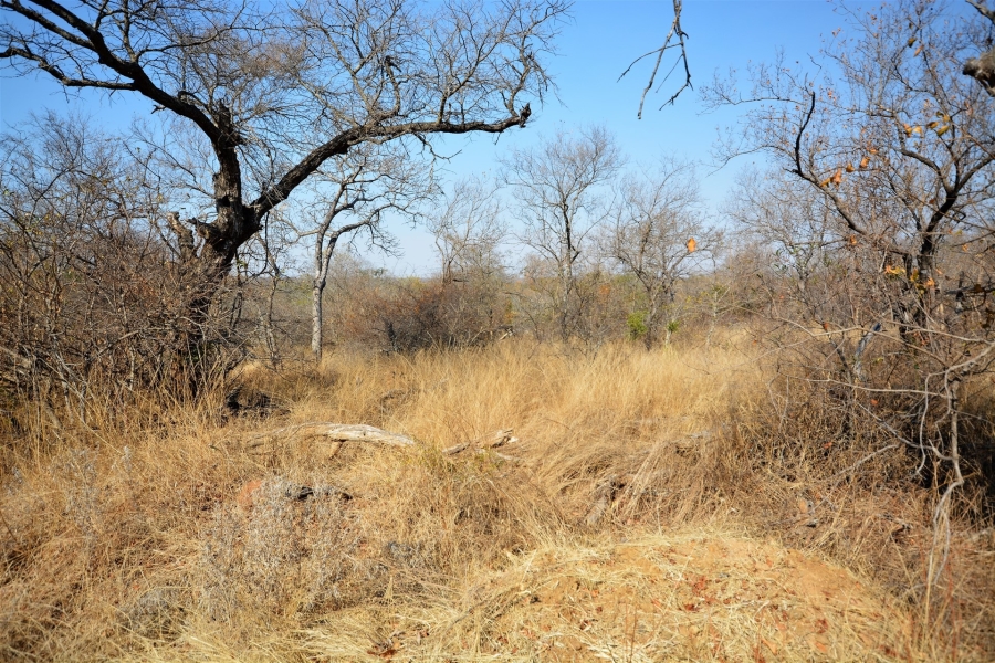 0 Bedroom Property for Sale in Moditlo Wildlife Estate Limpopo