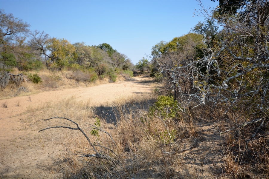 0 Bedroom Property for Sale in Moditlo Wildlife Estate Limpopo