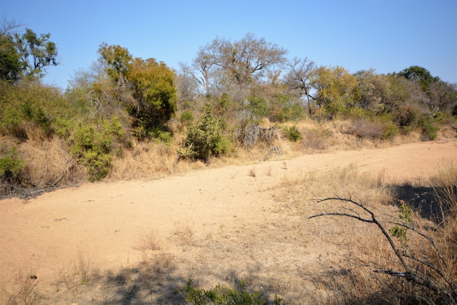 0 Bedroom Property for Sale in Moditlo Wildlife Estate Limpopo