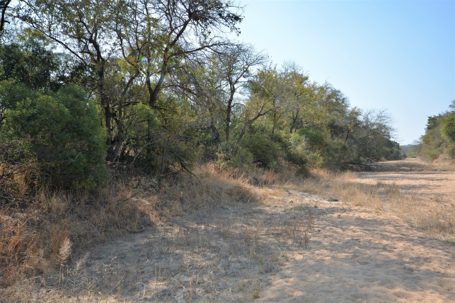 0 Bedroom Property for Sale in Moditlo Wildlife Estate Limpopo