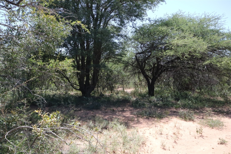 0 Bedroom Property for Sale in Moditlo Wildlife Estate Limpopo