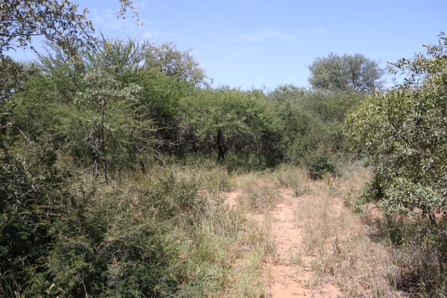 0 Bedroom Property for Sale in Moditlo Wildlife Estate Limpopo