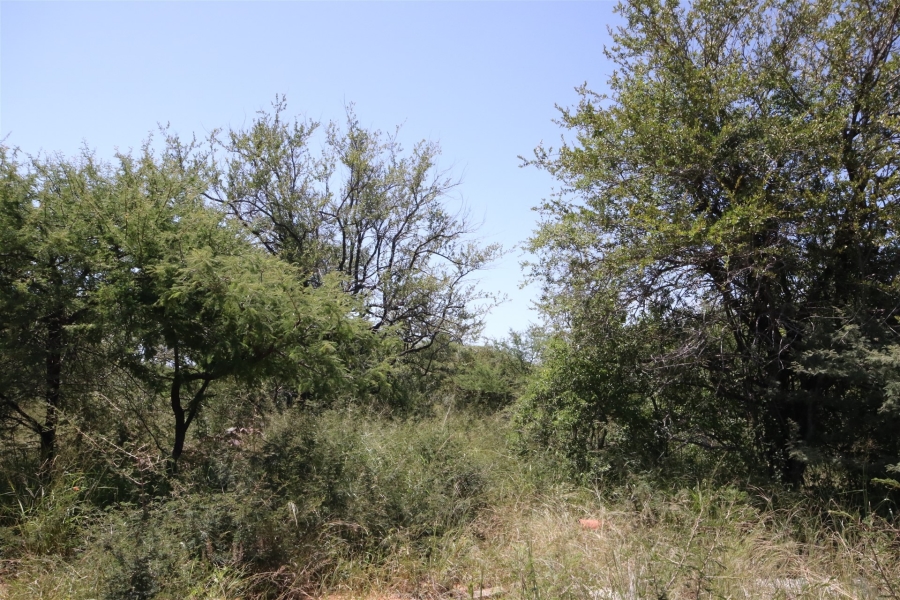 0 Bedroom Property for Sale in Moditlo Wildlife Estate Limpopo