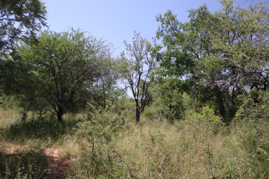 0 Bedroom Property for Sale in Moditlo Wildlife Estate Limpopo