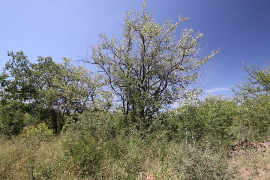 0 Bedroom Property for Sale in Moditlo Wildlife Estate Limpopo