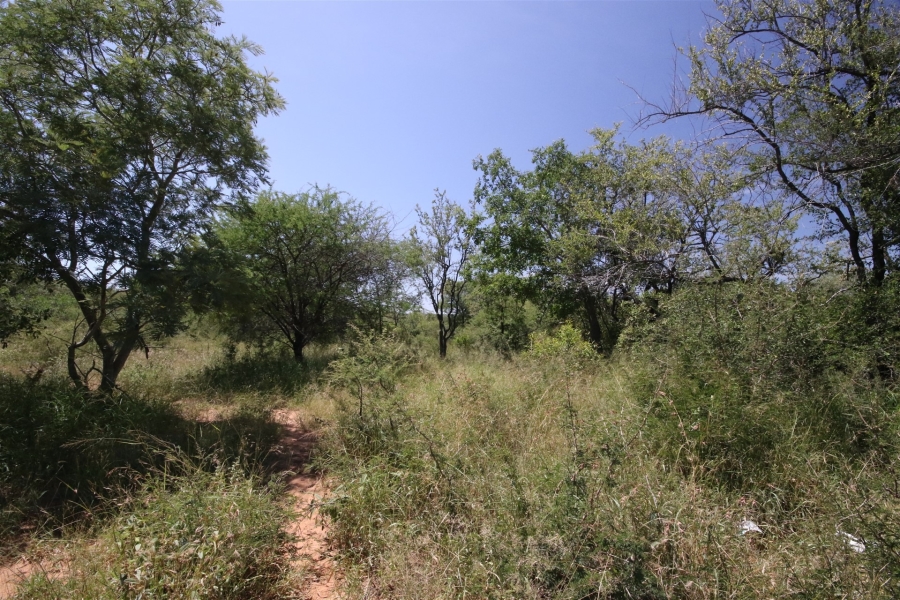 0 Bedroom Property for Sale in Moditlo Wildlife Estate Limpopo