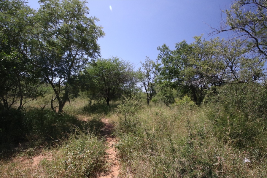 0 Bedroom Property for Sale in Moditlo Wildlife Estate Limpopo