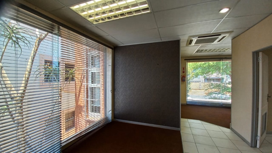 To Let commercial Property for Rent in Bendor Limpopo