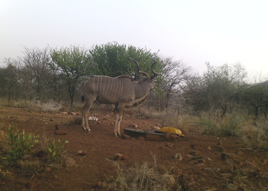 3 Bedroom Property for Sale in Groblersdal Rural Limpopo