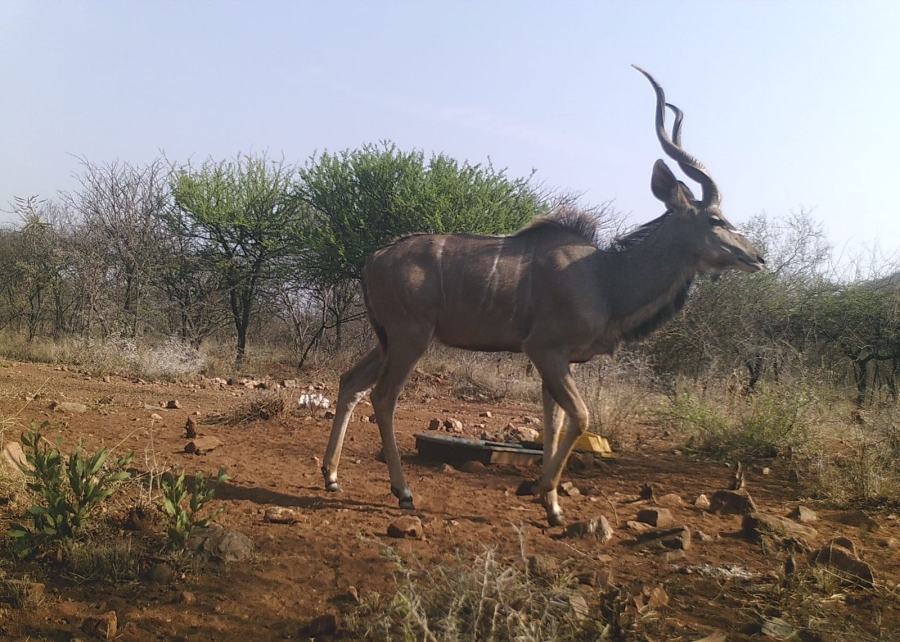 3 Bedroom Property for Sale in Groblersdal Rural Limpopo